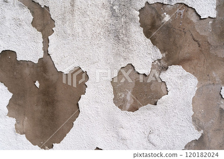 peeling white plaster on a building wall peeling white plaster on a building wall 120182024