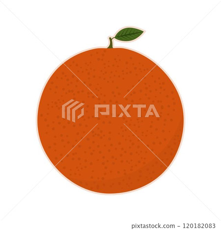 Cartoon orange fruit. Vector illustration. 120182083