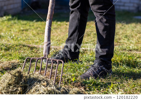 A person is currently raking the grass using a rake tool A person is currently raking the grass using a rake tool 120182220