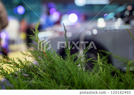 A contemporary urban landscape showcasing lush greenery, diverse vehicles, and modern aesthetics A contemporary urban landscape showcasing lush greenery, diverse vehicles, and modern aesthetics 120182493