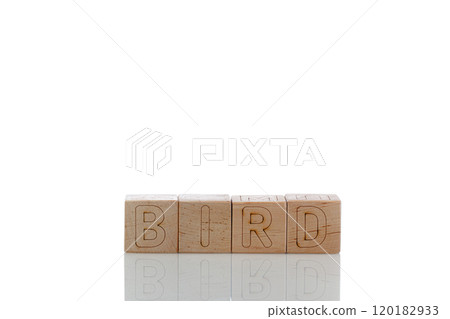 Wooden cubes with letters bird on a white background 120182933