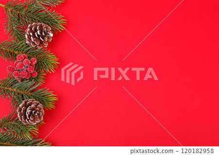 Christmas tree branches with cones on a red background 120182958