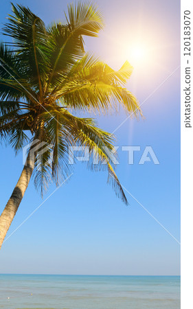 Paradise island beach. Tropical landscape of summer scene, sea waves. Sunny, sand, sky and palm trees. Luxury travel vacation destination. 120183070