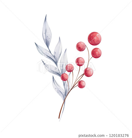 Christmas watercolor bouquet with holly blue leaves and red berries. Winter composition, decor in retro style. Illustration hand drawn for design, printing, greeting cards 120183276