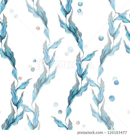 Sea blue algae with leaves wriggling in a wave with bubbles. Watercolor illustration of the underwater world hand drawn. Seamless pattern on a white background for fabric, textile, prints, design. Sea blue algae with leaves wriggling in a wave with bubbles. Watercolor illustration of the underwater world hand drawn. Seamless pattern on a white background for fabric, textile, prints, design. 120183477