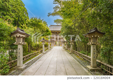 A view of the Nishinoui-no-kamimon Gate of Akibayama Hongu Akiba Shrine Kamisha Shrine in Hamamatsu City, surrounded by fresh greenery (Shizuoka Prefecture) 120184004