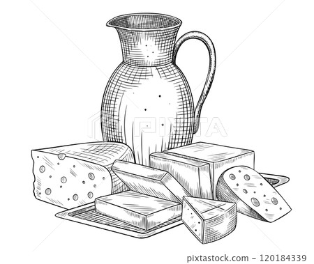 Pitcher with milk and Cheese slices vector illustration. Outline drawing of dairy products painted by black inks for cookery book or menu. Linear sketch of food and drinks with jug and farm products. Pitcher with milk and Cheese slices vector illustration. Outline drawing of dairy products painted by black inks for cookery book or menu. Linear sketch of food and drinks with jug and farm products. 120184339