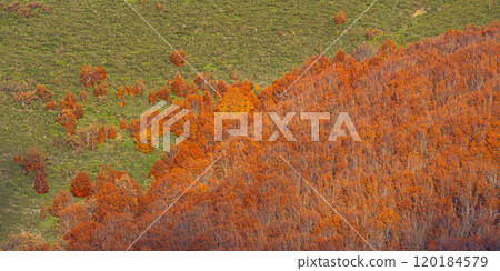 Hayedo de la Pedrosa Natural Protected Area, Spain Hayedo de la Pedrosa Natural Protected Area, Spain 120184579