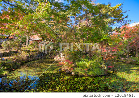 Ikaho Onsen, Shibukawa City, Gunma Prefecture, Japanese Garden at the Hawaiian Kingdom Envoy's Villa Ikaho Onsen, Shibukawa City, Gunma Prefecture, Japanese Garden at the Hawaiian Kingdom Envoy's Villa 120184613