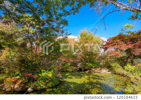 Ikaho Onsen, Shibukawa City, Gunma Prefecture, Japanese Garden at the Hawaiian Kingdom Envoy's Villa Ikaho Onsen, Shibukawa City, Gunma Prefecture, Japanese Garden at the Hawaiian Kingdom Envoy's Villa 120184615