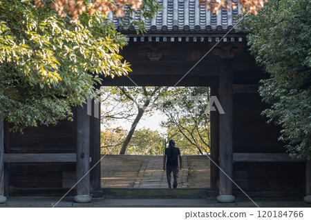 高松、屋島寺山門 高松、屋島寺山門 120184766