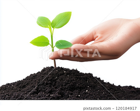A hand gently holding a young seedling growing from dark 120184917