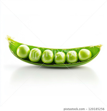 Fresh Green Peas in Open Pod Isolated on White Background 120185256