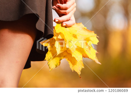 Lady with autumnal leaf. 120186089