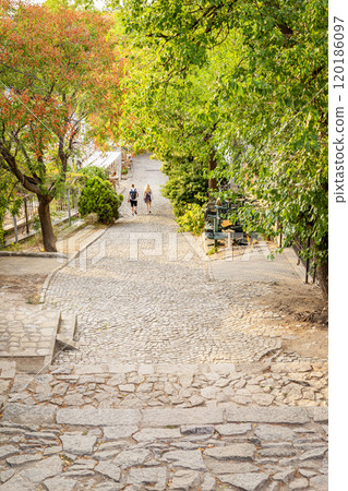 Cobblestone path surrounded by lush green trees and colorful foliage, serene walking of two people 120186097