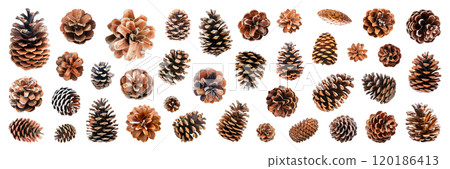 Set of isolated pinecones on a transparent background for ornamental Christmas and New Year party decoration elements. AI generated. 120186413