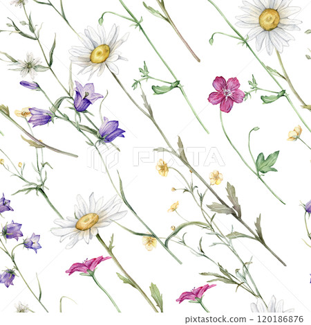 Watercolor floral seamless pattern with summer meadow flowers in botanical rustic style. Hand drawn print with bluebell, buttercup, clover, chamomile, geranium. Repeat wallpaper with leaves and plants 120186876