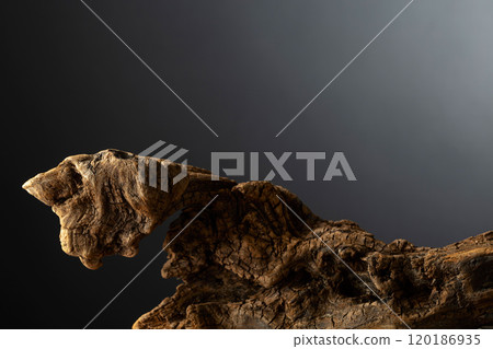 Dried wooden snag on a black background. Dried wooden snag on a black background. 120186935