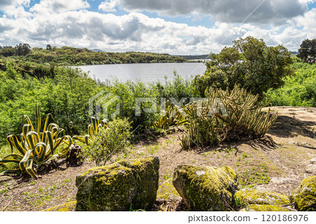 Spring nature, lake landscape. Povoa e Meadas Dam in Castelo de Vide, Alentejo Portugal. Spring nature, lake landscape. Povoa e Meadas Dam in Castelo de Vide, Alentejo Portugal. 120186976