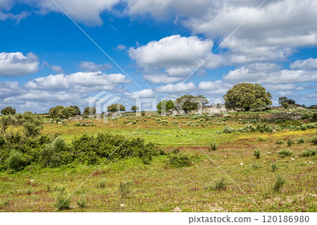 Driving with the car through the Alentejo in Portugal. Area around Nisa and Castelo de Vide 120186980