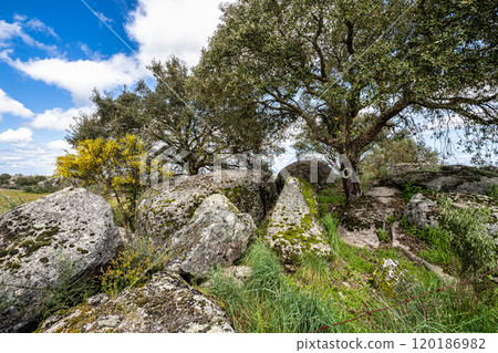 Driving with the car through the Alentejo in Portugal. Area around Nisa and Castelo de Vide Driving with the car through the Alentejo in Portugal. Area around Nisa and Castelo de Vide 120186982