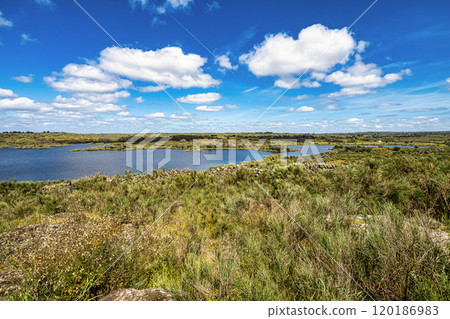 Spring nature, lake landscape. Povoa e Meadas Dam in Castelo de Vide, Alentejo Portugal. Spring nature, lake landscape. Povoa e Meadas Dam in Castelo de Vide, Alentejo Portugal. 120186983
