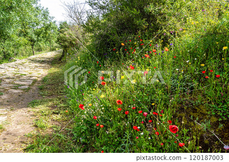 Walking along the Barca da Amieira walkways in Amieira do Tejo, Portugal. Walking along the Barca da Amieira walkways in Amieira do Tejo, Portugal. 120187003