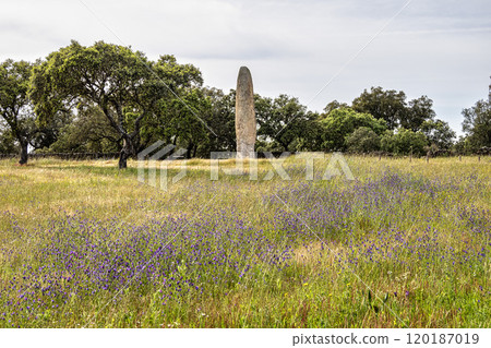The Standing Stone, Menhir of Meada at Castelo de Vide, Portugal. The largest of the Iberian Peninsula. The Standing Stone, Menhir of Meada at Castelo de Vide, Portugal. The largest of the Iberian Peninsula. 120187019