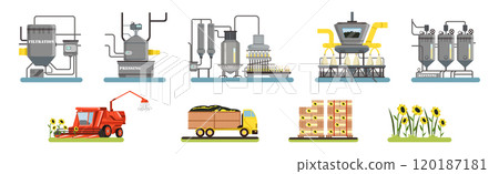 Sunflower Organic Oil Production Process Stage Vector Set Sunflower Organic Oil Production Process Stage Vector Set 120187181