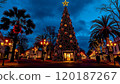 Store decorated in the shape of a Christmas tree 120187267