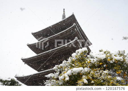 京都市東山區八坂塔雪景 120187576