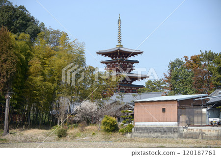 Distant view of the East Tower of Yakushiji Temple, Nishinokyo, Nara City, Nara Prefecture 120187761