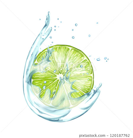 Lime with water splash. Fruit illustration on white background 120187762