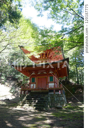 滋賀縣大津市比叡山延歷寺西塔根本女寶塔坂本 120187775