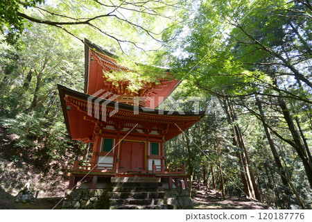 Hieizan Enryakuji Temple West Pagoda Nemoto Nyoho Pagoda Sakamoto, Otsu City, Shiga Prefecture 120187776