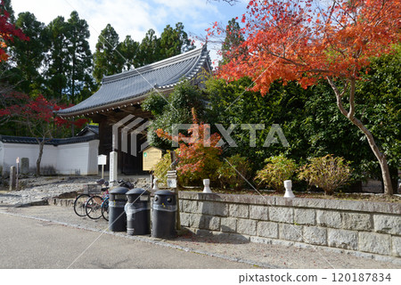 Autumn at Nison-in Temple, Sanmon Gate, Saga, Ukyo Ward, Kyoto City 120187834