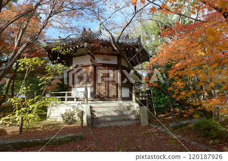 Seiryoji Temple in Autumn, Saga, Ukyo-ku, Kyoto City 120187926