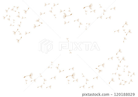 Dandelion Logo, Vector Plant Dandelion flower, Design Icon Template Dandelion Logo, Vector Plant Dandelion flower, Design Icon Template 120188029