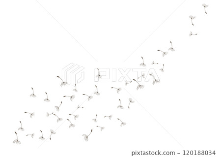 Dandelion Logo, Vector Plant Dandelion flower, Design Icon Template Dandelion Logo, Vector Plant Dandelion flower, Design Icon Template 120188034