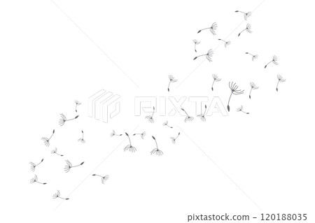 Dandelion Logo, Vector Plant Dandelion flower, Design Icon Template 120188035