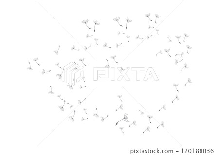 Dandelion Logo, Vector Plant Dandelion flower, Design Icon Template 120188036