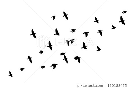 Flying birds silhouette flock. hand drawing. Not AI. Vector illustration Flying birds silhouette flock. hand drawing. Not AI. Vector illustration 120188455