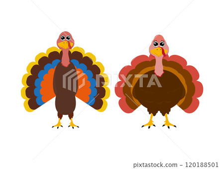 Turkey funny thanksgiving on white background Turkey funny thanksgiving on white background 120188501