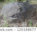 Cracked stone (stone placed in the grass) 120188677