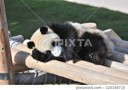 您可以在海灘上的遊樂設施上放鬆身心 120188710