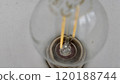 Close-up View of an Incandescent Light Bulb's Filament and Glass Structure 120188744
