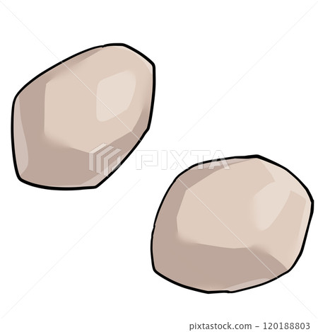 Illustration of peeled taro Illustration of peeled taro 120188803
