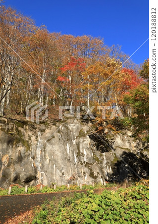 Autumn foliage on the trekking course to Ichinokurazawa in late autumn (from the Mountain Museum to Machigazawa) Autumn foliage on the trekking course to Ichinokurazawa in late autumn (from the Mountain Museum to Machigazawa) 120188812
