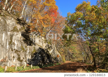 Autumn foliage on the trekking course to Ichinokurazawa in late autumn (from the Mountain Museum to Machigazawa) Autumn foliage on the trekking course to Ichinokurazawa in late autumn (from the Mountain Museum to Machigazawa) 120188813