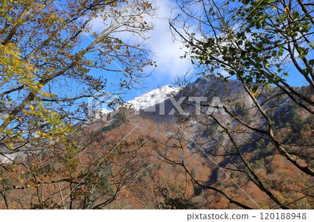深秋從一之倉澤健行路線上看到的白雷門和笠岳 120188948